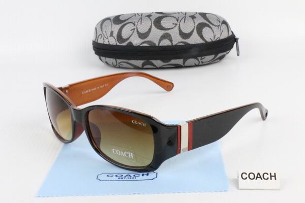 C0ACH Boutique Sunglasses 029